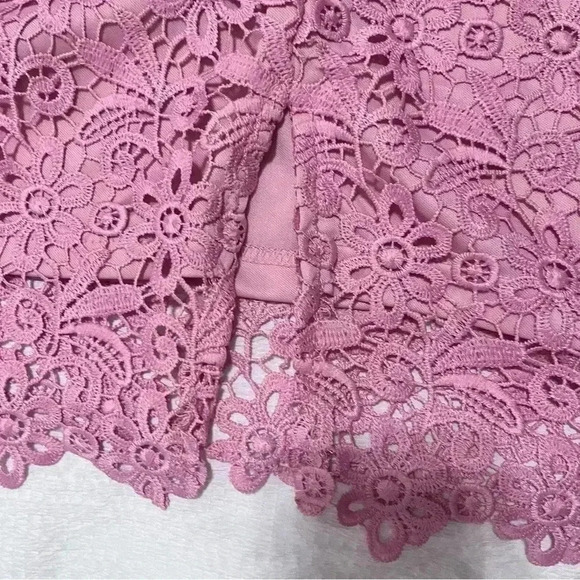 Paper Dolls Pink with Navy Blue Off Shoulder Lace Party Formal Dress Size 16 NWT - Picture 5 of 11